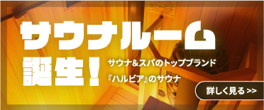 サウナルーム誕生